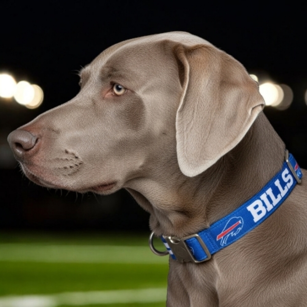 NFL Premium Pet Collar, Buffalo Bills, Large